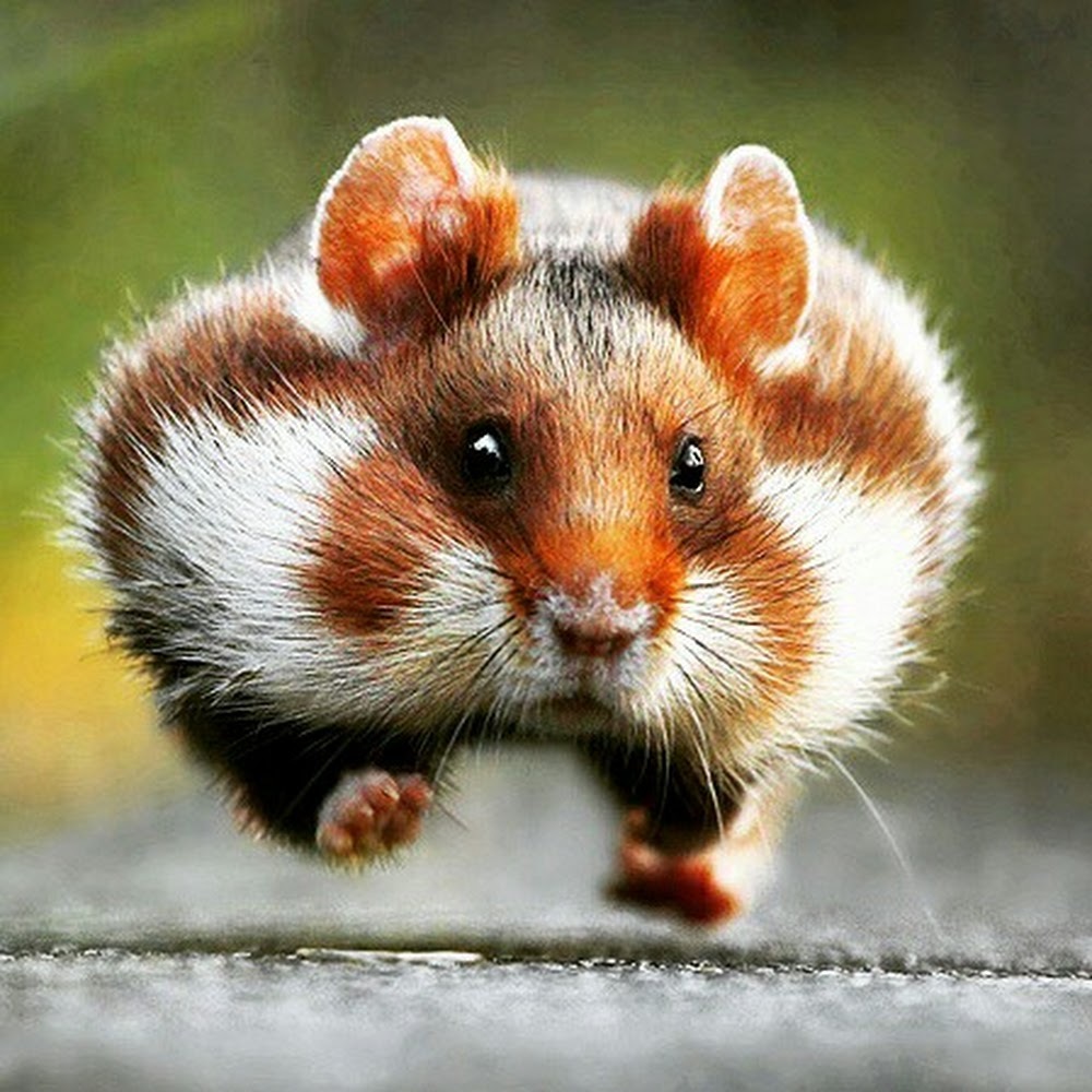 Meet your Posher, Katherine